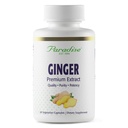 Cennet Herbs Premium Ginger Digestive Health, Super Potent, Ultra Pure, Vegan, Non-GMO, Gluten Free, 60 Vegetarian Capsules