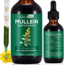 Lungs için Mullein Yaprakları, Lungs, Support Lung, Respiratory Function for Health Breathing, Improvement in Pulmonary Function, Natural & Safe Supplement (1 PC)