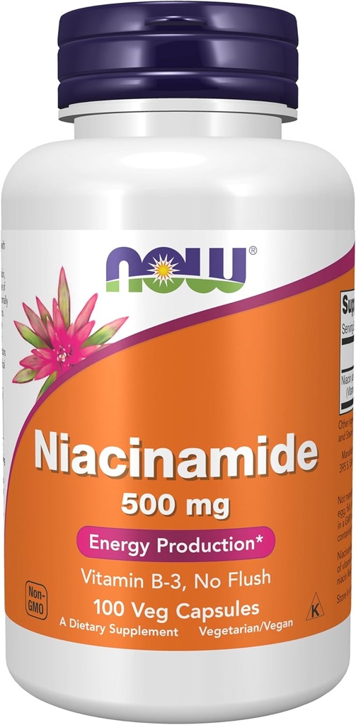 Şimdi Gıdalar Tamamlıyor, Niacinamid (Vitamin B-3) 500 mg, Enerji Üretimi*, 100 Veg Capsules