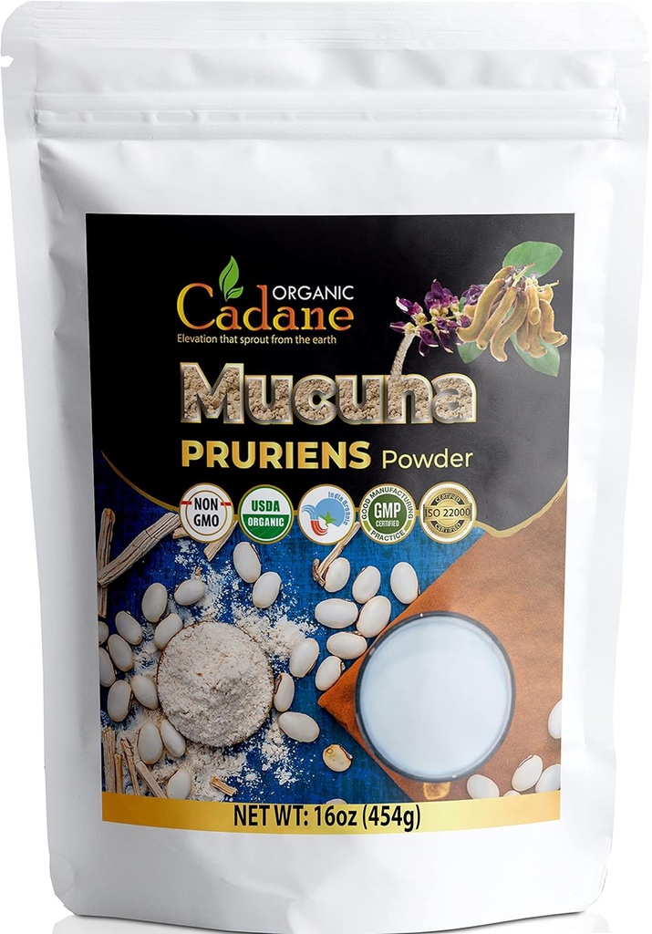 Organik Cadane Mucuna Pruriens Toz 1 Pound | Beyin Sağlığını Teşvik Ediyor, Destekler Immune Sistemi, Enerji | USDA sertifikalı Vegan-Friendly Supplements | Pure Natural Velvet Beans Hindistan'dan alıntı