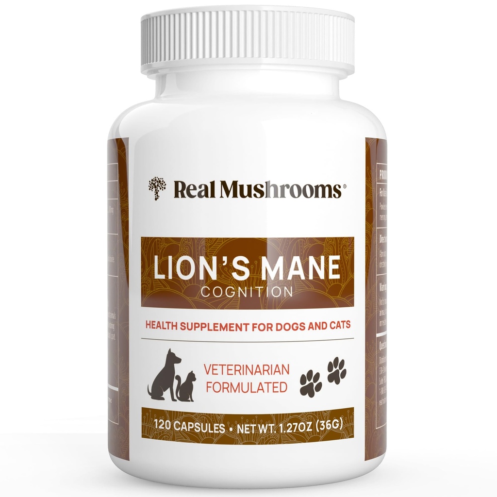 Real Mushrooms Lion's Mane Pet Mushroom Supplement – Pet Wellness Capsules – Cat & Dog Supplement & Vitamins – Support Mindful Routines – Organic, Vegan, Non-GMO, 120 Count Count
