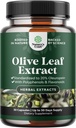 Potent Olive Leaf Extract Capsules - High Strength Antioksi Supplement with Pure Olive Olive Leaf with %20 Ol Europein - Herbal Heart Health Supplement - Vegan Non-GMO & Gluten Free (1 Ay Supply)