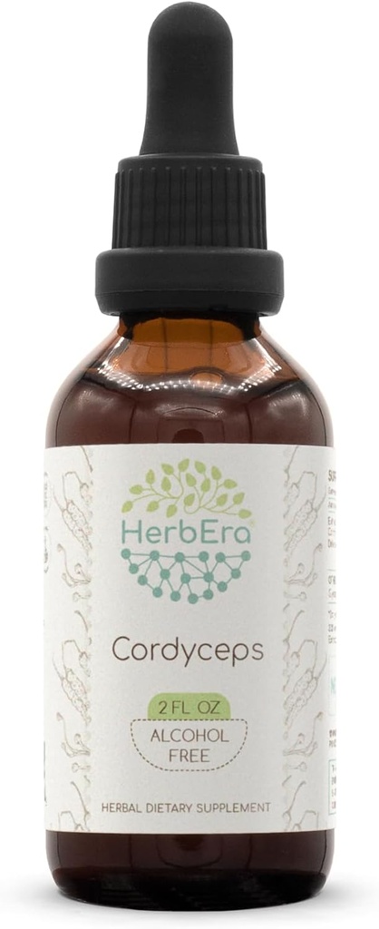 Cordyceps B60 Alkol-Free Herbal Extract Tincture, Tempd Liquid Drops Natural Cordyceps Militaris kıl Mushroom (2 f oz)