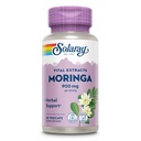SOLARAY Moringa Capsules 900 mg - Moringa Supplement 135 mg Saponins - Herbal Support w / Naturally Occurring Vitamins, Minerals, Amino Asits, Vegan, 60-Day Garanti, 30 Serv, 60 VegCaps