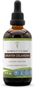 Tribe Greater Celandine Tincture Alkol Ekstraksiyonu, Greater Celandine (Chelidonium majus) 4 OZ