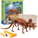 Geoworld Triceratops Dino Dig Kit – 8Inch Authentic Dinozor Skeleton Model – Ultimate STEM Learning Experience for Kids Ages 6++