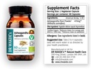 Κάψουλες Ashwagandha του DR WAKDE (Ινδικό Ginseng, Withania somnifera, 60 Veg Caps, φυτικό συμπλήρωμα, Ayurvedic Herb, όλα φυσικά, Vegan)