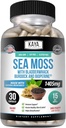 Kaya Naturals Sea Moss - Συμπλήρωμα κινητικότητας για τους άνδρες και τις γυναίκες - με Burdock Root, Irish Moss, Bladderwrack, και BioPerine - για την κινητικότητα Υγεία και ανοσοποίηση Boost, 30 Count