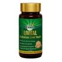 Zandu Livital Tabletler,% 100 Ayurvedik Malzemeler, Çeşitli Hepatotoksilara Karşı Canlıcıları Korumak| Fatty Liver'da Beneficial, Liver Detox & Aids in Liver Detox