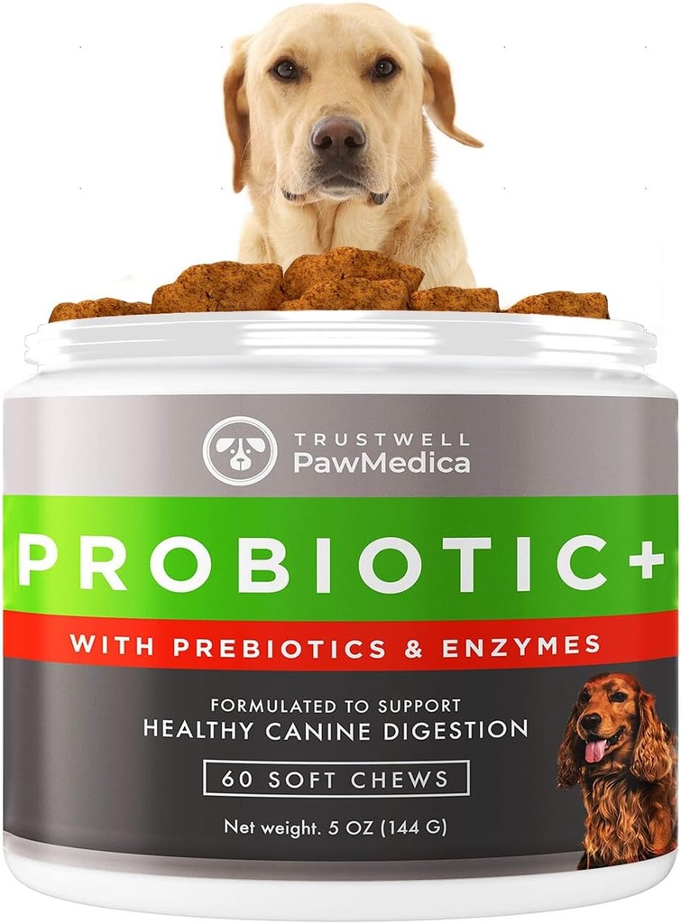 PawMedica Dog Probiyotiks ve Digestive Enzymes, ABD'de yapılan Köpekler için Probiyotikler, Köpekler için Pet Probiyotik Chews, Prebiyotiks & Probiyotik Dog Digestive Support, Probiyotikler - 60 Dog Probiyotik Chews