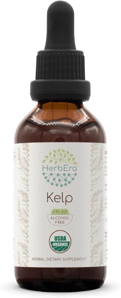 HerbEra Kelp B60 USDA Organik Tincture | Alkol Özgür Tür, Yüksek Lisans Herbal Drops | Sertifikalı Organik Kelp (Ascophyllum nodosum) kuru Plant (2 oz)