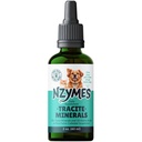 Nzymes® Tracite Minerals for Pets - Fulvic Acid, Humic Acid, ve Iron-Based Trace Mineral Drops ve Platinum Energy için Amino Asitler - ABD'de Yapıldı