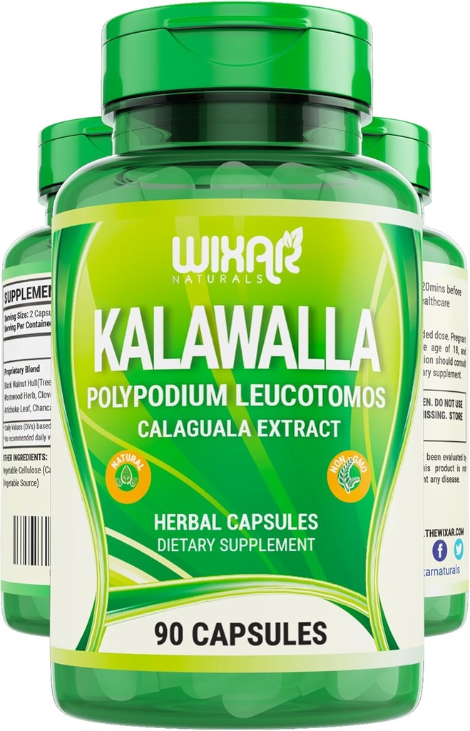 Κάψουλες Wixar Polypodium Leucotomos – Calaguala Fern Leaves Extract Herb with Polypodium Leucotomos Pills - Χορτοφαγικά Ανοσοποιητικά, Δέρμα, Αλκαλίνη Συμπληρώματα Υποστήριξης για Άνδρες & Γυναίκες – 90 Κάψουλες
