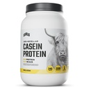 Seviyeler% 100 Micellar Casein Protein, Hormon Free, Vanilla Bean, 2LB