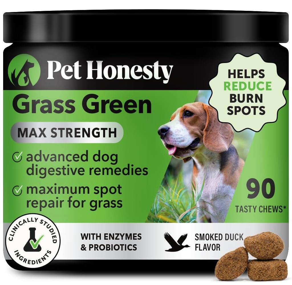 Grass Green Max Chews δύναμη για σκύλους – Premium συμπλήρωμα ούρησης σκύλου Spot Saver – Υποστηρίζει υγιής πέψη, ούρων & ούρων υγεία με προβιοτικά, DL-Μεθειονίνη & Yucca (90ct γεύση πάπιας)