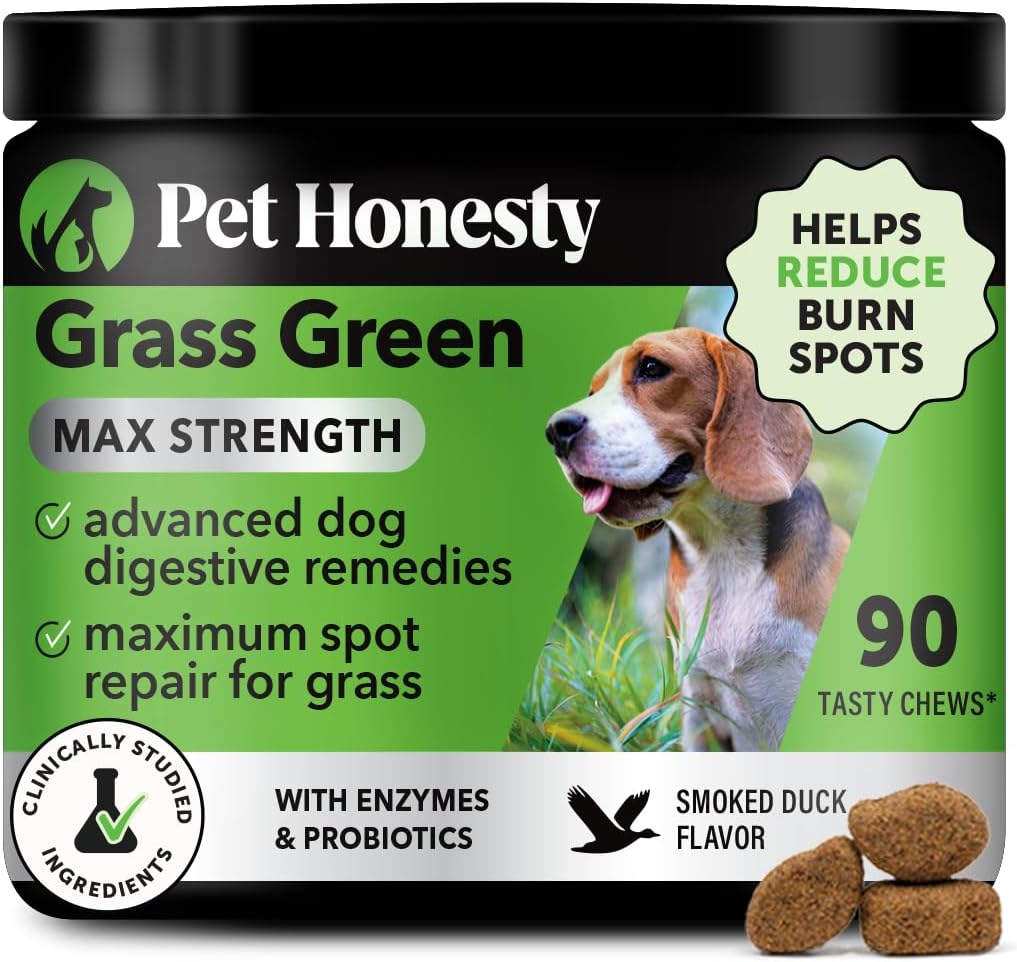 Köpekler için Yeşil Max Strength Chews - Premium Köpek Urine Lawn Spot Saver Supplement - Sağlıklı Digestion, Gut & Urinary Health with Probiyotiks, DL-Methionine & Yucca (90ct Duck Flavor)