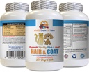 Dog Healthy Coat Supplement - Κατοικίδια ζώα μαλλιά και παλτό Boost - για σκύλους και γάτες - Υποστηρίζει υγιή νύχια δέρμα μαλλιά - quercetin για κατοικίδια - 1 μπουκάλι (60 δισκία)