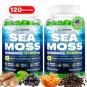 Sea Moss Gummies, 3100 mg İrlandalı Gerçek Deniz Moss Seamoss Kadın ve Erkekler için Bladderwrack, Burdock Root, Elderberry C ve Çinko Detox Cleanse için, Immune, Skin, Digestive, Organik, 120Ct