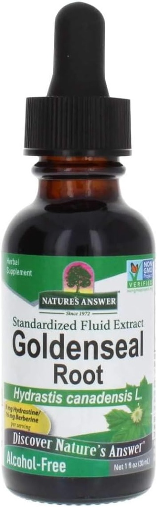 Nature's Cevap Golden Seal Alkol Ücretsiz 1 Ounce | Natural Immune Branson | Lung Health