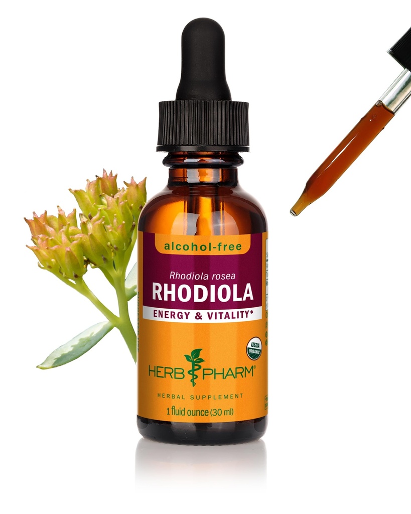 Herb Pharm Certified Organic Rhodiola Root Extract Drops for Energy, Endurance and Stamina, Alcohol-Free Glycerite, 1 Oz