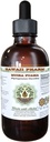 Muira Puama Alkolü Özgür Madde, Organik Muira Puama (Ptychopetalum Olacoides) Glycerite Natural Herbal Supplement, Hawaii Pharm, ABD 4 ozz