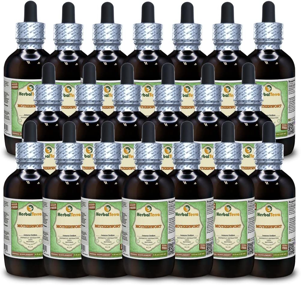 Motherwort (Leonurus Cardiya) Glycerite, Organik Kuru Herb Alkol Özgür Sıvı Ekstraksiyon (Brand Name: HerbalTerra, Proudly Made in USA) 20x4 fl.oz (20x120 ml)