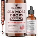 TrueSeaMoss Irish Sea Moss Drops - Sea Moss Gel'den 5X Güçlü Essentials Minerals - Spirulina Toz, Burdock Root & Black Cumin - 2 Fl Oz (60 ml) - Strawberry Flavor