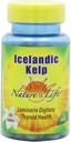 Nature's Life Kelp, İzlandalı, 41 Mg, Laminaria Digitatata, 250 Tablet, (Pack of 2)