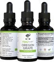 Premium Organic Oregon Grape Root Tincture - εκχύλισμα χωρίς αλκοόλ, 1oz 