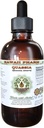 Quassia Alkol Özgür Tasdi, Quassia (Quassia Amara) kuru Bark Glycerite Natural Herbal Supplement, Hawaii Pharm, ABD 2 fl.oz