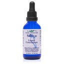 Eidon Liquid Silica Mineral Concentrate - Silica Supplement for Hair, Skin, and Nails, Supplement Drops to Support Collagen Production & Hair Loss for Women & Men, Helps Manage Calcium - 2 oz