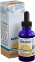 Nascent Iodine Organic Daily Health Supplement High Potency 2% συμπυκνωμένες σταγόνες υγρού ιωδίου Υποστηρίζει την ενέργεια και το μεταβολισμό (1oz/30ml)