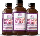 Vei Lynn's Organic Harvest Berry Syrup for Kids and Yetişkinler – Real Honey Elder Syrup for Immune Support - Tedavi Formula - 4 Fl. Oz (Pack of 3)