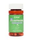 CAW Telomere Supplement | Anti-Aging Telomere Uzunluk | DNA Tamir Hücre Sağlığı | Nano Cycloastragenol 5Mg 30Enteric-Coated Capsules 1 Şişe