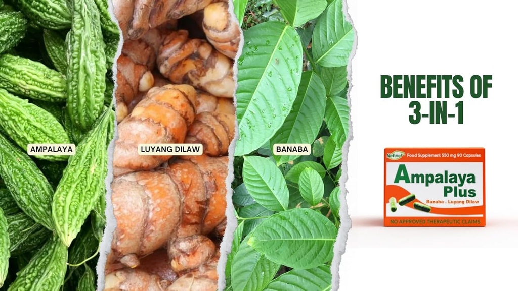 Ampalaya Plus 550 mg 90 Capsules - 1 Paket - Banaba, Turmeric Ginger ve Bitter Melon Ampalaya Plus tarafından - Halal Herbal Suplements