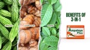 Ampalaya Plus 550 mg 90 Capsules - 1 Paket - Banaba, Turmeric Ginger ve Bitter Melon Ampalaya Plus tarafından - Halal Herbal Suplements