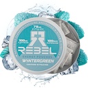 Nootropic Energy Caffeine Pouches • 100 mg Caffeine • Alfa GPC • Huperzine A & Essential Vitaminler • Sugar-Free • Coconut Fiber Teknolojisi • Wintergreen Flavor • 15 Pouches Per Can (Pazar 1)