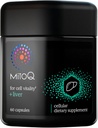 MitoQ +Liver Premium CoQ10 Antioksi - Contains Mitoquinol Mesylate, Choline, Milk Thistle, Selenium - Supports Metabolism, Liver Health, Body's Natural Detoxification & Cell Vitality (60 Capsules)
