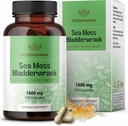 HERBAMAMA Sea Moss and Bladderwrack Κάψουλες - 1600mg Ιρλανδική θάλασσα Moss για την υποστήριξη του ανοσοποιητικού - Vegan, μη ΓΤΟ συμπλήρωμα ασυλίας για τη συνολική υποστήριξη
