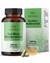 HERBAMAMA Sea Moss ve Bladderwrack Capsules - 1600 mg Irish Sea Moss for Immune Support - Vegan, Non-GMO Immunity Supplement for General Support