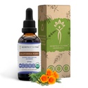 Μυστικά της φυλής California Poppy Tincture Liquid Extract, USDA Organic California Poppy (Escholzia Californica) Αποξηραμένη Ρίζα (2 FL OZ)