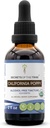 Μυστικά της φυλής California Poppy Tincture Liquid Extract, USDA Organic California Poppy (Escholzia Californica) Αποξηραμένη Ρίζα (2 FL OZ)