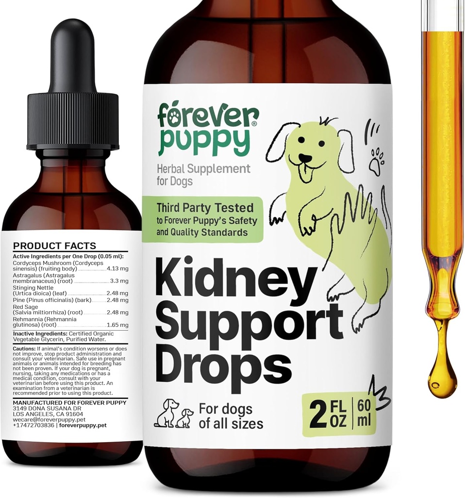 Sonsuz Puppy Kidney Köpekler için Geri Döndürmeleri - Cordyceps Mushroom, Astragalus, Sting Nettle Leaf Ekstraksiyon - Sıvı Köpek Vitaminleri ve Tamamları - Sugar & Alkol Ücretsiz Tincture - 2 fl oz