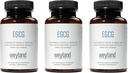 EGCG | Green Tea Extract | 400 mg - Antioksi Supplement | Vegan, Gluten Free | 100 Vegetarian Capsules (Pack of 3)