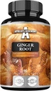 APOLLO'S HEGEMONY Ginger Root 500 mg, alıntı% 5 Gingerols, 90 Vegan Capsules, 3 Ay Supply, Ginger Herbal Supplements for Digestive Comfort and Immune Support