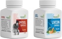 Genric Dalal Pymol+Livcon Capsule (30 Cap) Kanlarda hızlı bir şekilde rahatlayın, yanıyor ve Piller için acı çekiyorum, Fissure. Fistula, Inflammation & Rectum