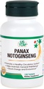 Panax Notoginseng Tablet - Sağlıklı Circulatory System
