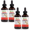 Maxx Herb Ashwagandha Extract - Max Strength Liquid Tincture Absorbs Capsules veya Toz Daha İyi - Stamina, Memory ve Immune Support - 4 Şişe, 4 Oz Her (240 Hizmet)