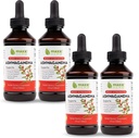 Maxx Herb Ashwagandha Extract - Max Strength Liquid Tincture Absorbs Capsules veya Toz Daha İyi - Stamina, Memory ve Immune Support - 4 Şişe, 4 Oz Her (240 Hizmet)