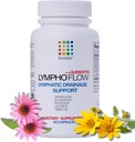 Bruizex Lympho Flow Lymphatiage Supplement, Destekler Lymphatic System Health, Liposuction, BBL, 360 Lipo, Tummy Tuck & Lymphedema Post Surgery Recovery, Qercetin ile Yapıldı, 60 Capsules